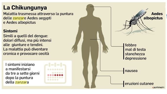 zanzare infette quartieri a rischio