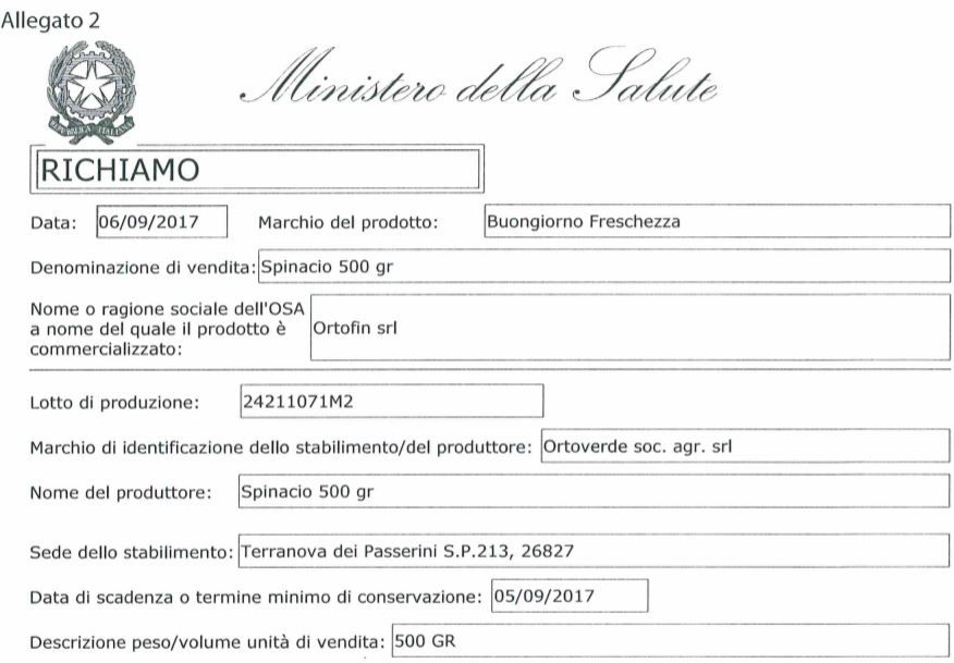mandragora insalata buongiorno freschezza