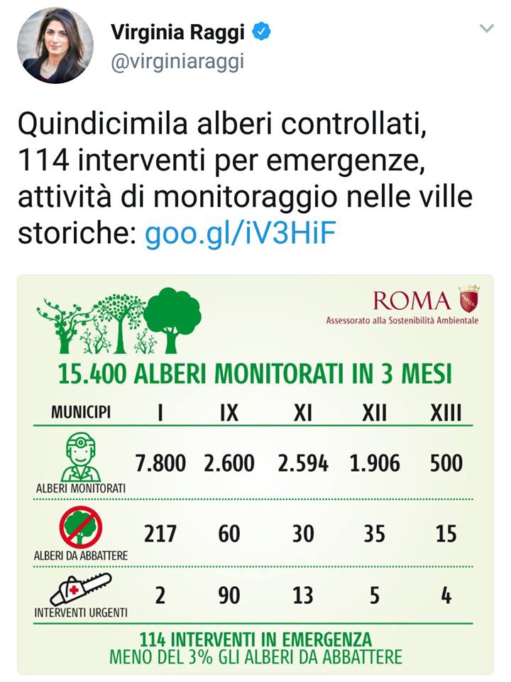 Quando Virginia Raggi controllava gli alberi article-post