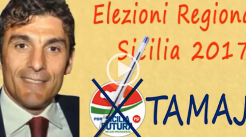 edy tamajo