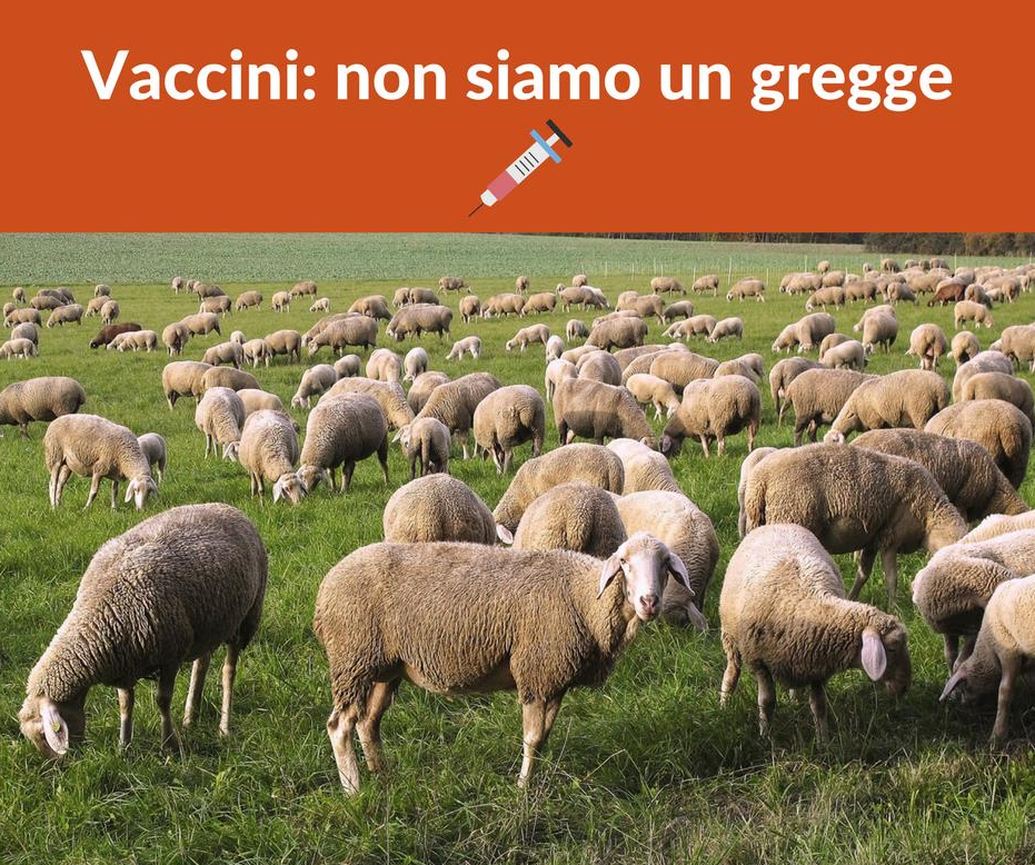 paola de pin vaccini freevax no vax antivax - 2