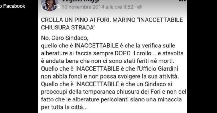 virginia raggi alberi caduti