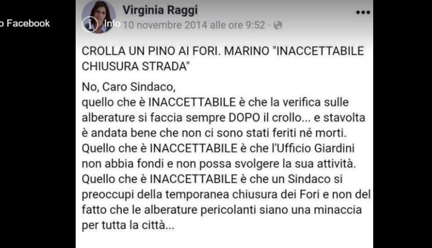 Roma, gli alberi sani tagliati al posto di quelli malati article-post