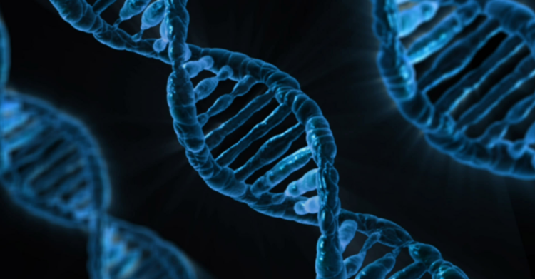 BRCA1 BRCA2 rischio genetico cancro seno studio fabio girardi cambridge - 5