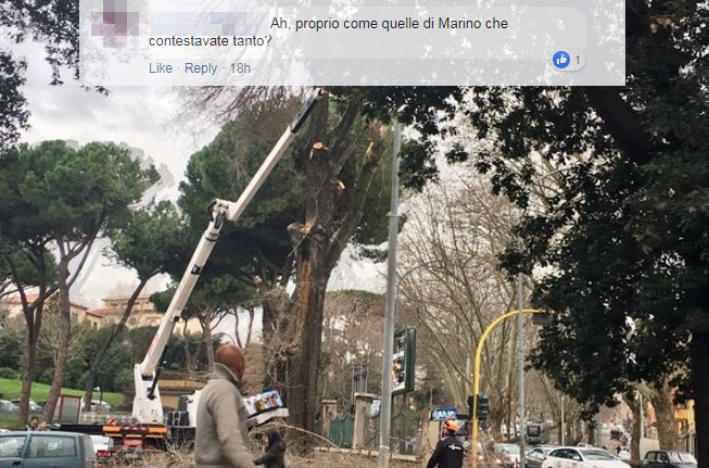 Daniele Diaco e i romani infuriati per la capitozzatura degli alberi article-post