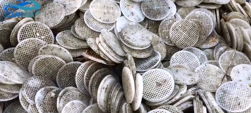 dischetti plastica misteriosi spiagge clean sea life - 5