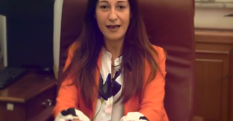 paola taverna vicepresidente del senato m5s - 4