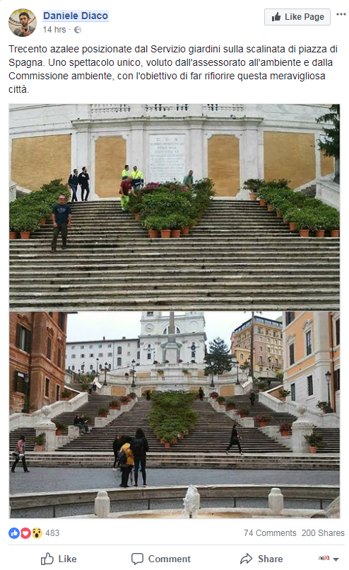 daniele diaco azalee scalinata piazza di spagna - 1