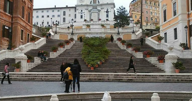 La Divertente Storia Delle Azalee Di Daniele Diaco In Piazza Di Spagna Nextquotidiano