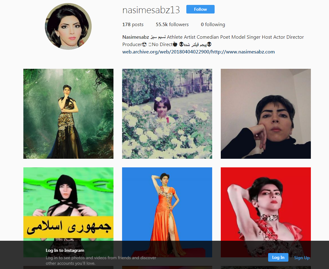 nasime sabz Nasim Aghdam youtube attentato - 6