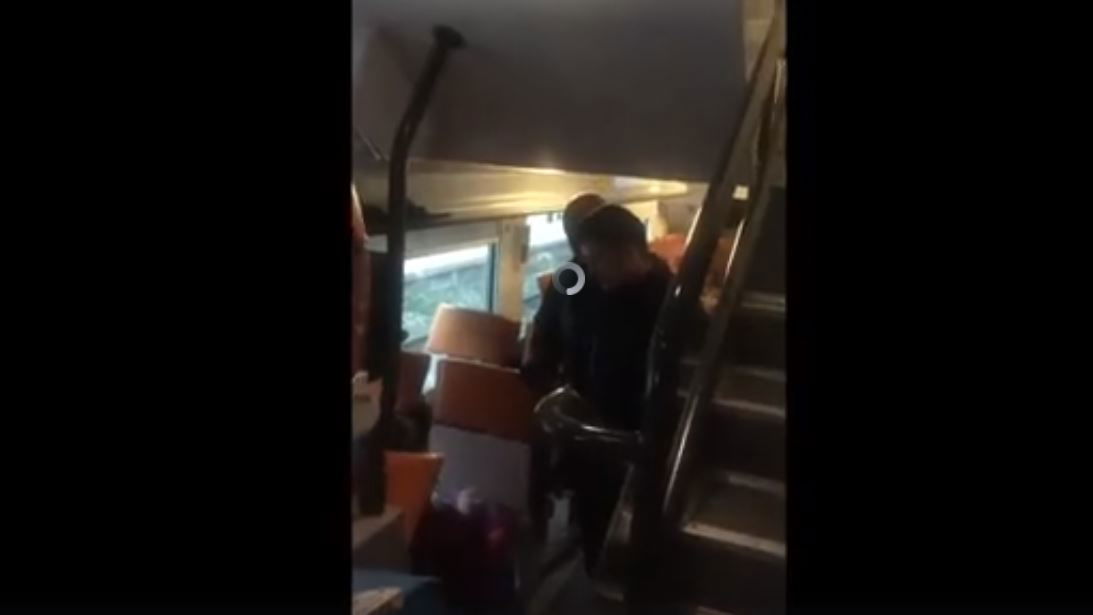 Il video della polizia francese che trascina giù da un treno una donna incinta article-post