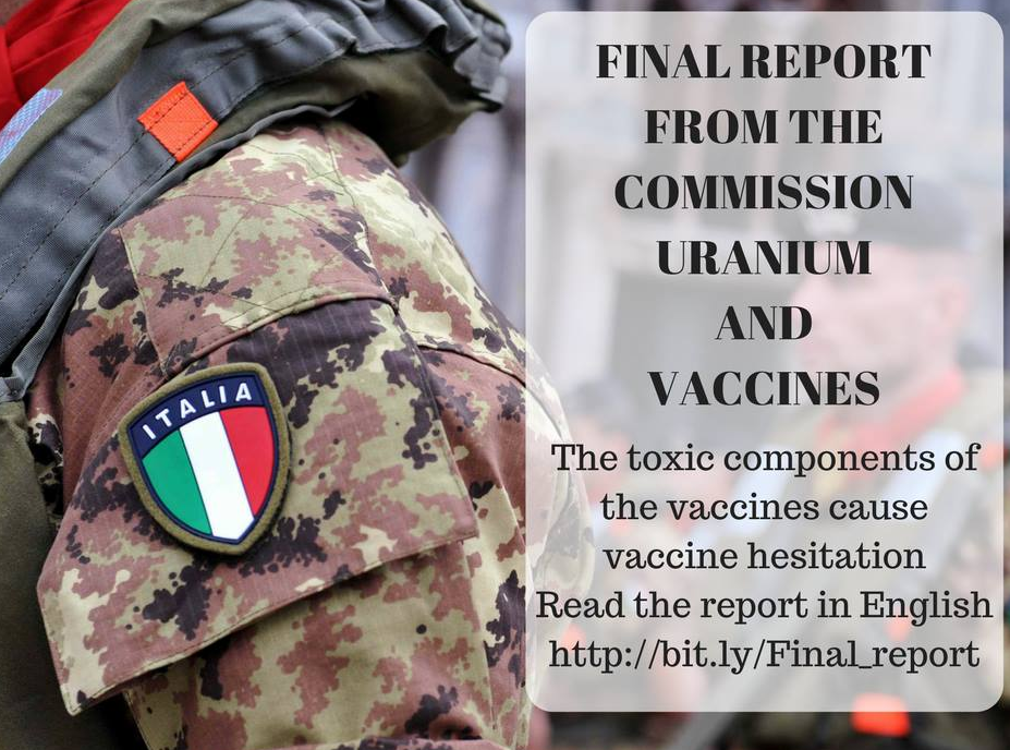 Spieghiamo ai free-vax cosa c’è scritto davvero nel rapporto Signum sui vaccini per i militari article-post