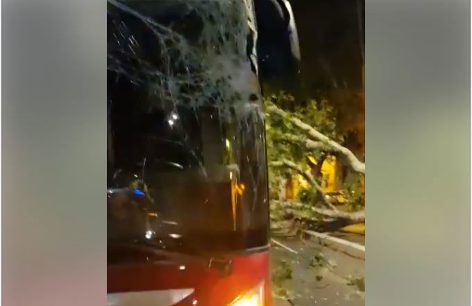 L’albero caduto sull’autobus in viale delle Milizie a Roma article-post