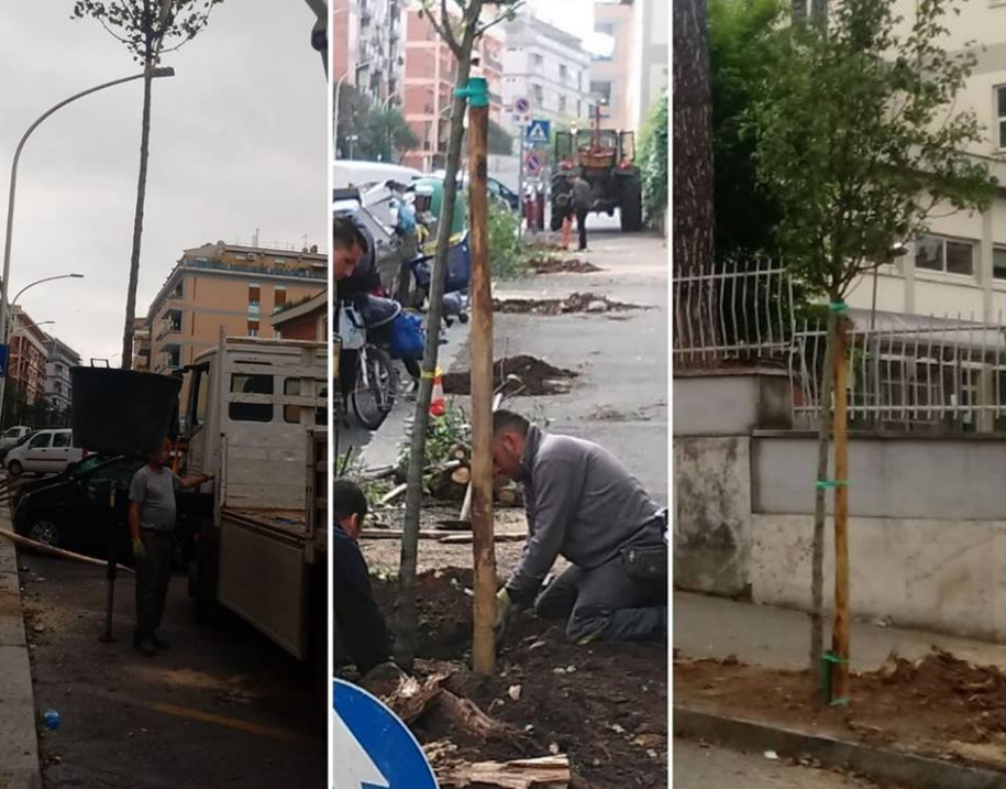 Il grandissimo successo dei peri elettorali di Pinuccia Montanari nell’VIII Municipio article-post