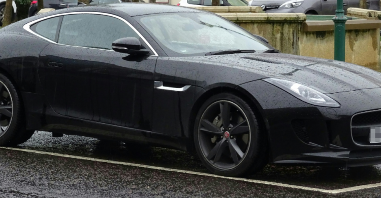 jaguar nera preganziol psicosi - 6