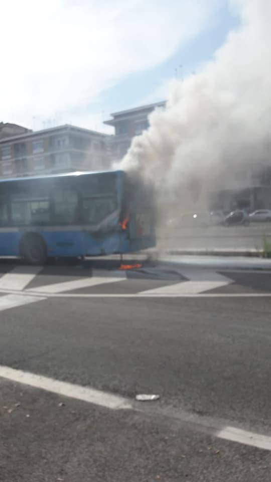 piazza pio XI flambus