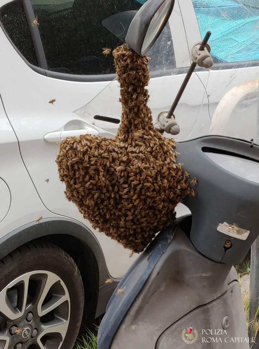 apincittà api antismog roma capitale