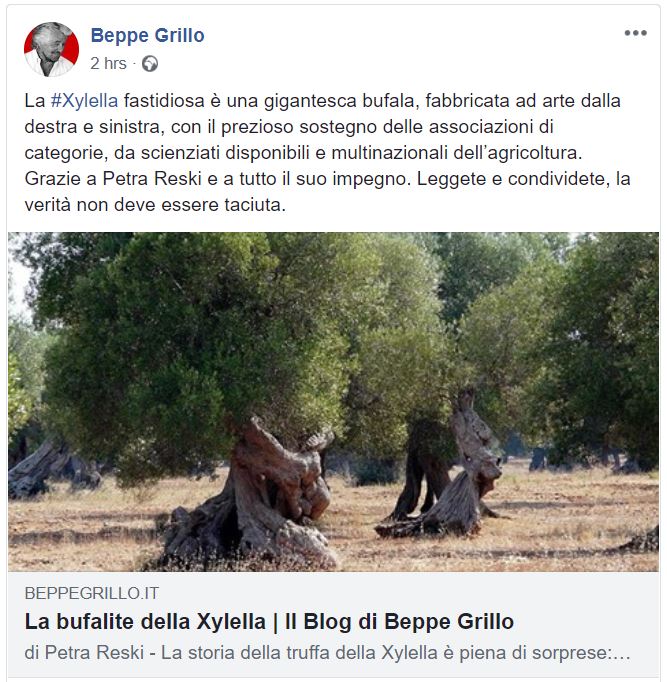 beppe grillo xylella
