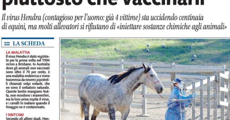cavalli no vax