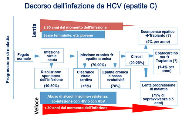 epatite c