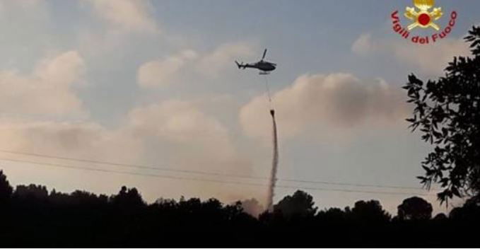 L’incendio alla pineta Ghiaccioni a Piombino article-post