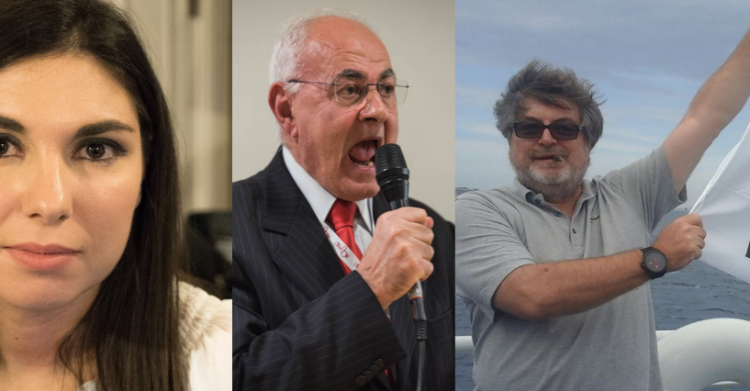 sarti lannutti d'ippolito m5s regole statuto espulsione - 7