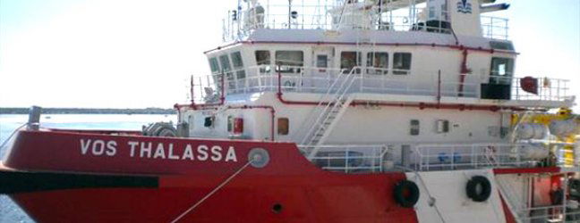 vos thalassa salvini