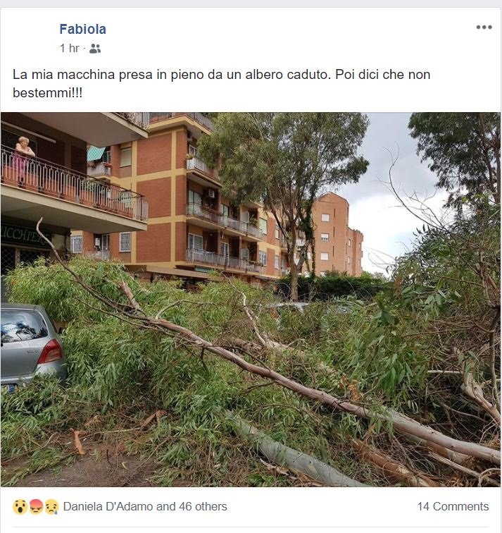 caduta alberi roma