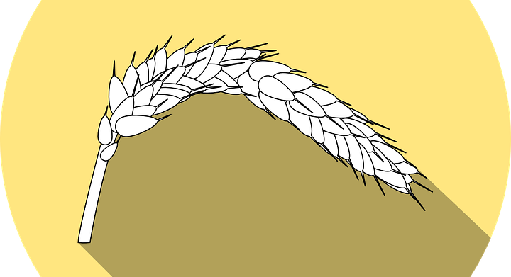 celiachia celiaci registro