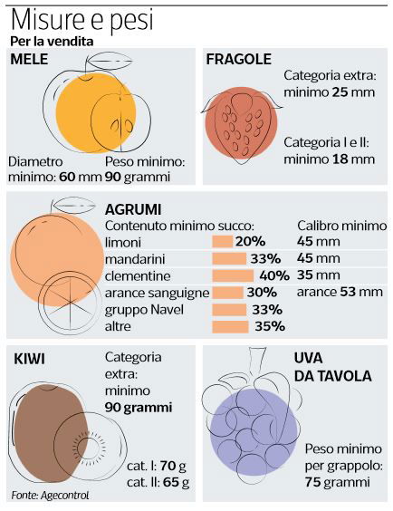 cibo buttato