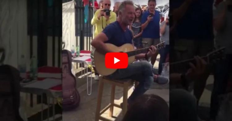 sting bekaert
