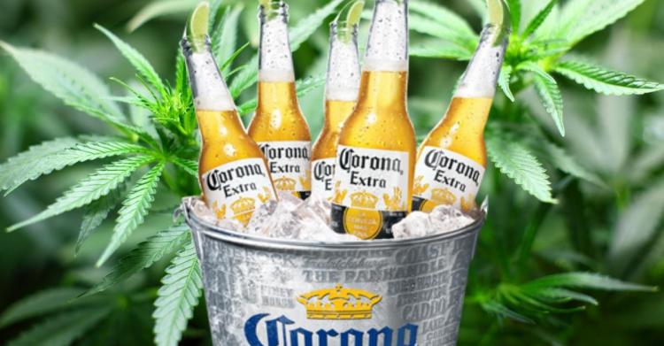 bibite cannabis corona