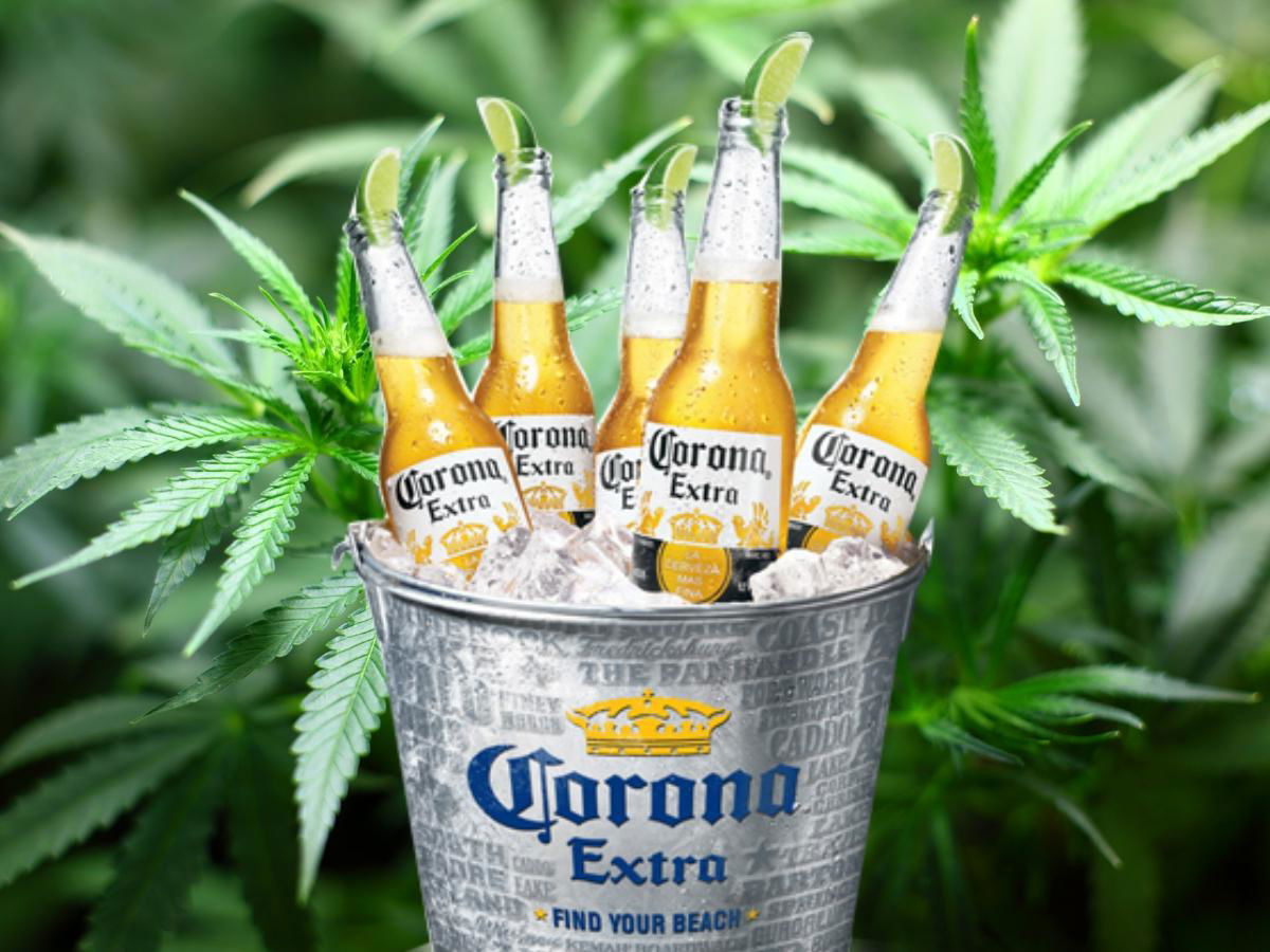 Una cannabis da bere article-post
