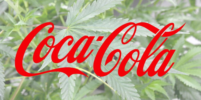 La Coca Cola alla cannabis article-post
