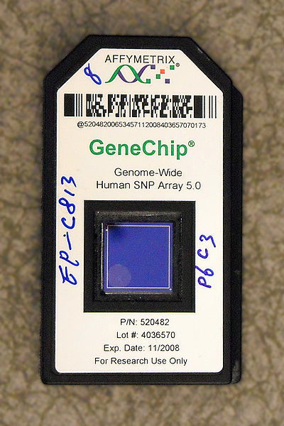 Программа для прошивки gene chip