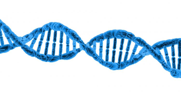 generazione D microchip dna - 1