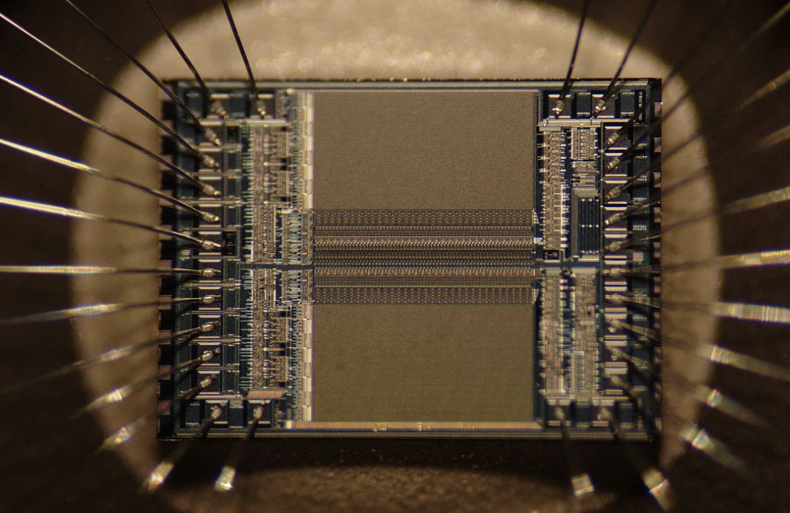 generazione G microchip dna - 1