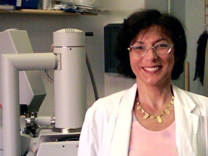 Antonietta Gatti nella task force contro la polmonite a Brescia article-post