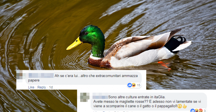 papere laghetto eur scomparse mistero - 14