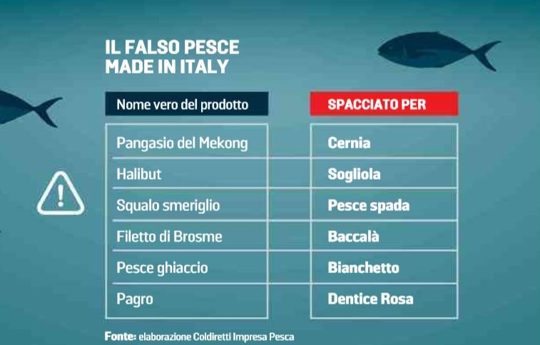 pesce italiano importato 2