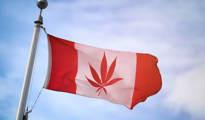 Un mercoledì da fattoni: com’è andato il primo giorno di cannabis legale in Canada article-post