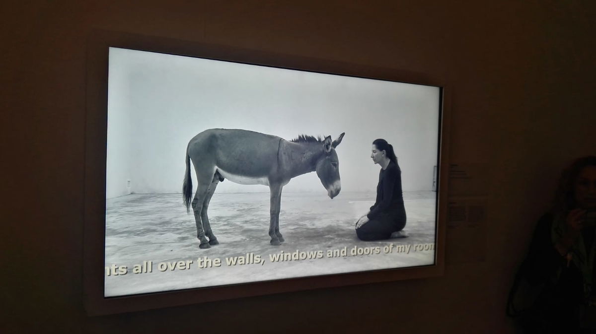 Perché Marina Abramovic che mangia una cipolla cruda con la buccia è arte article-post