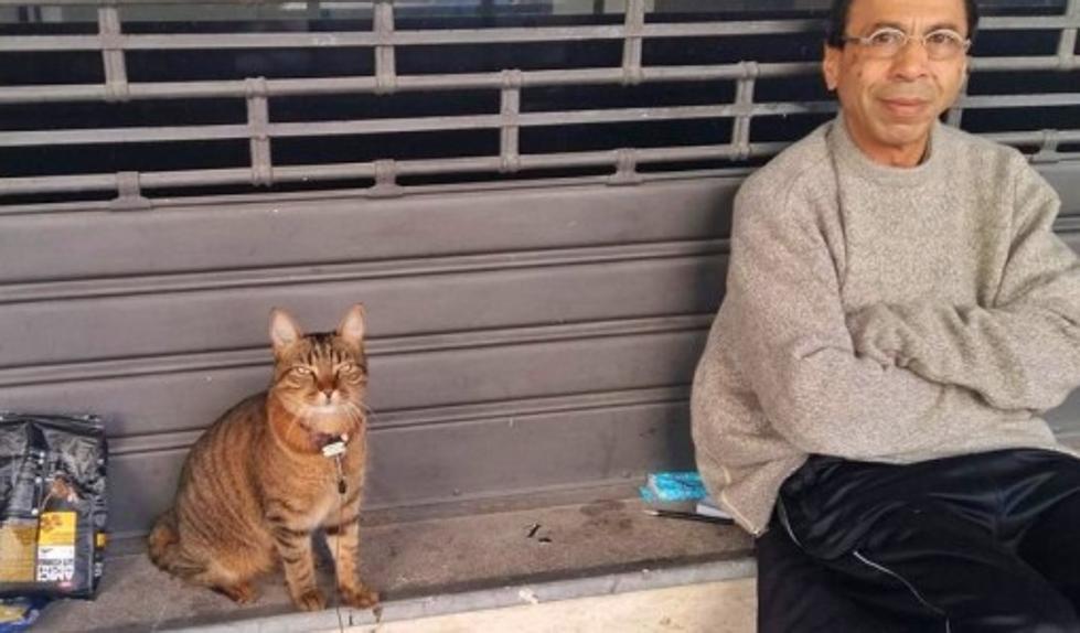 L’omicidio di Aldo, il clochard con il gatto Helios article-post