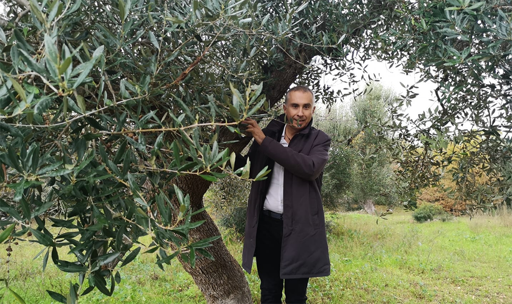 ciampolillo xylella m5s puglia cisternino - 2