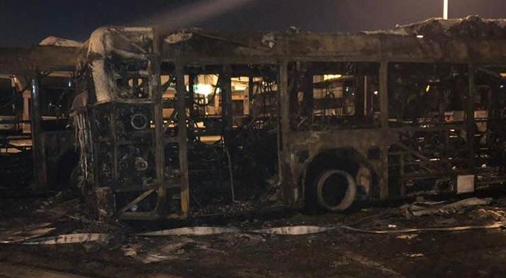 rogo bus tor pagnotta