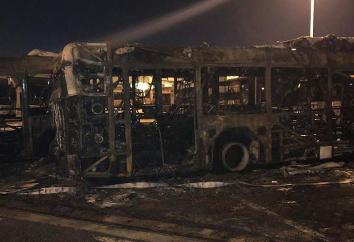 rogo bus tor pagnotta