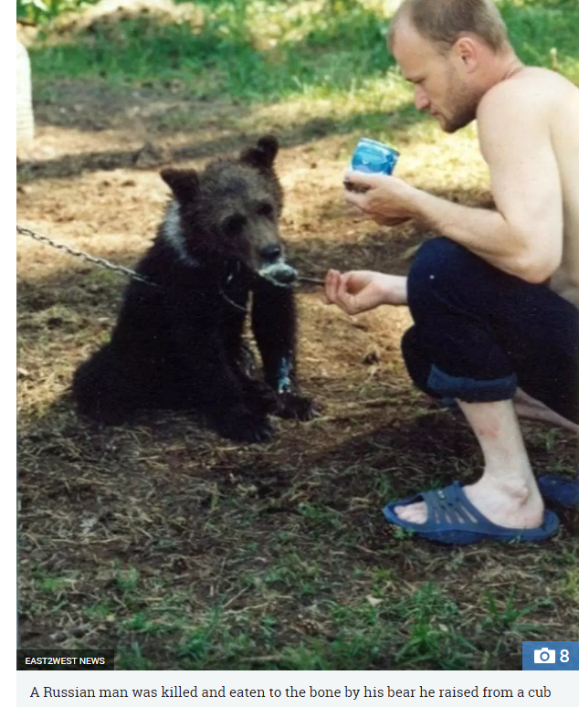 russia orso uccide cacciatore - 1