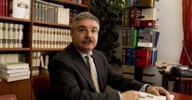 angelo stefanori