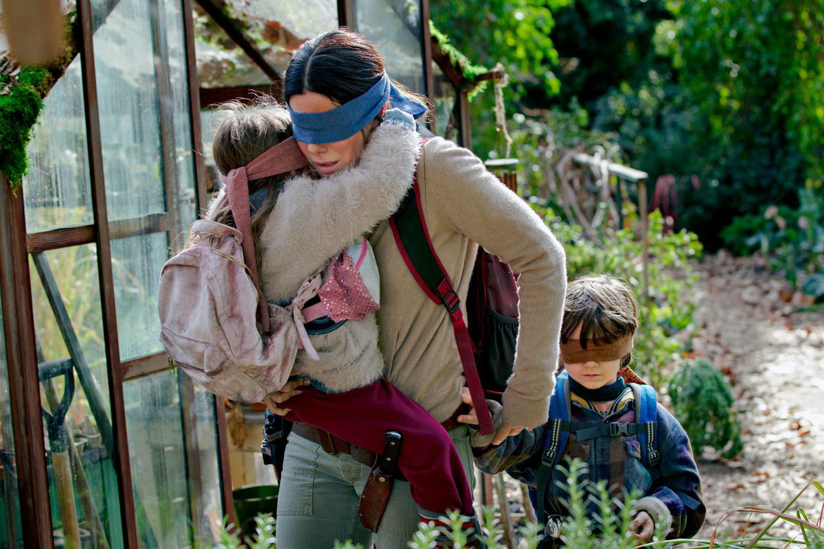 Bird Box Challenge: Netflix chiede agli utenti di piantarla di girare con bende agli occhi article-post