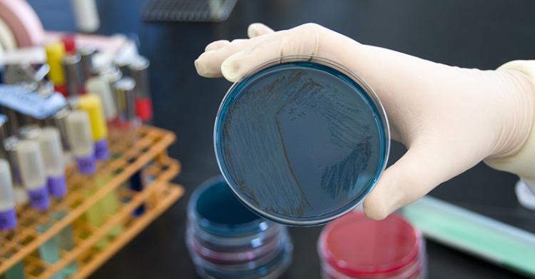 salmonella latte neonati modilac